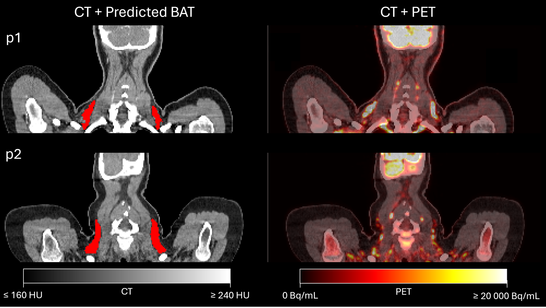 Figure 2: Results of Low-Activity Scanning