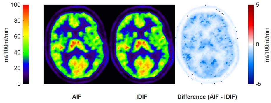 P13_fig3